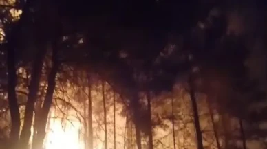 Gazipaşa'da orman yangını itfaiye ekipleri tarafından kontrol altına alındı