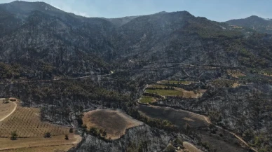 Denizli Valisi Ömer Faruk Coşkun Buldan yangının kontrol altına alındığını açıkladı