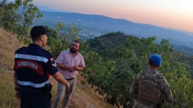 Aydın'ın Köşk ilçesinde jandarma incir hırsızlığına karşı önlem alıyor