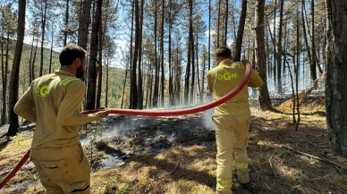 Karabük Eflani’de Orman Yangınına Havadan Ve Karadan Müdahale Devam Ediyor