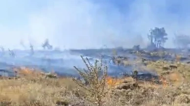 Adıyaman Sincik’te orman yangını meşe ağaçlarına zarar verdi