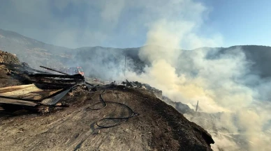 Kastamonu’nun Araç ilçesinde yangın iki ev ve samanlığı yıktı