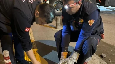 Kilis'te ağaçta mahsur kalan kedi itfaiye ekipleri tarafından kurtarıldı