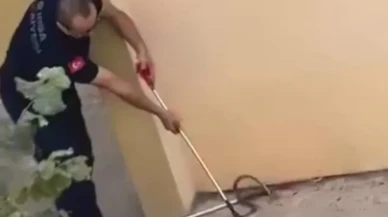 Bursa'nın İnegöl ilçesinde konut bahçesinde 1,5 metrelik yılan görüldü