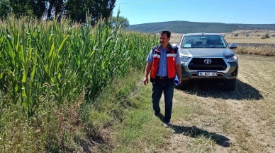 Kütahya’da Silajlık Mısır Kontrolleri Gerçekleştirildi