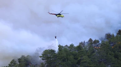Muğla Köyceğiz'deki orman yangını kontrol altına alındı