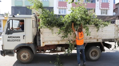 Ardahan belediyesi il merkezinde ağaç budama çalışmaları yapıyor