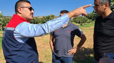 Aydın’ın Köşk ilçesinde tarım zararlılarıyla mücadele çalışmaları yapıldı