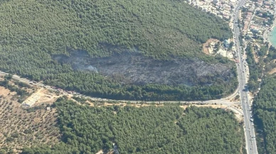 Bodrum'da çıkan orman yangını ekiplerin müdahalesiyle kontrol altına alındı