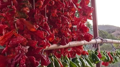 Manisa Sarıgöl'de kadınlar kışlık yiyecek hazırlıklarına başladı