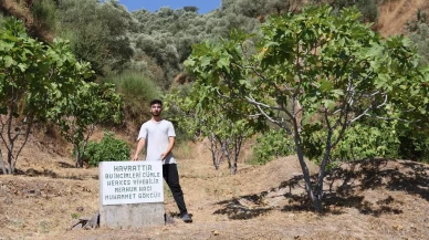 Aydın'da çiftçi incir bahçesine herkese açık mermer levha dikti