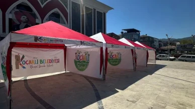 Koçarlı’da 15. Çam Fıstığı ve Yöresel Ürünler Festivali coşkusu