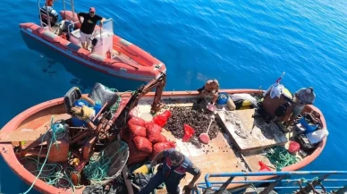Aydın'da kaçak avlanan 600 kilo midye denize bırakıldı