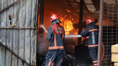 Sakarya'da yangın vakaları ihmal ve iklim değişikliği nedeniyle arttı