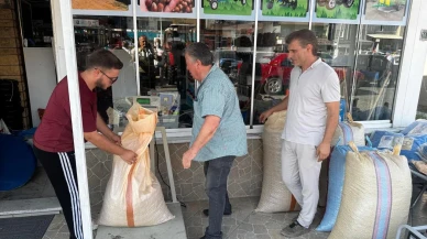 Alaplı’da Fındık Rekoltesi Düşüşü Fiyatları Artırdı