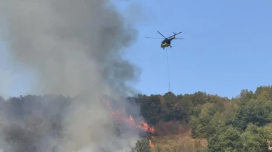 Düzce’de Orman Yangınının Çıkış Nedeni Valilik Tarafından Araştırılıyor