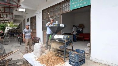 Mersin Büyükşehir Belediyesi üreticilere badem kabuk soyma makinesi desteği sağladı
