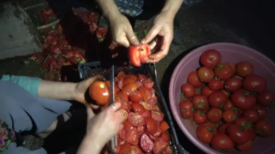 Bayburt’un Aydıntepe ilçesinde kadınlar kışlık salça hazırlıklarına başladı