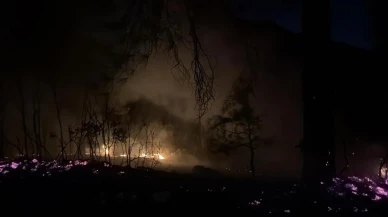 Burdur’un Bucak ilçesinde orman yangını ekiplerce söndürüldü