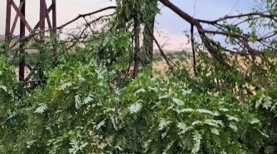 Kovancılar'da fırtına nedeniyle askeri araca ağaç dalı düştü