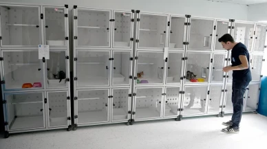 Kuşadası Belediyesi Davutlar Mahallesi’ne Kedi Kısırlaştırma Merkezi açtı