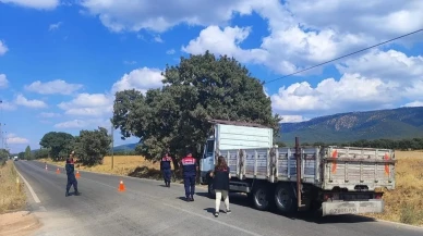 Uşak'ta canlı hayvan nakil araçlarına denetim yapılıyor