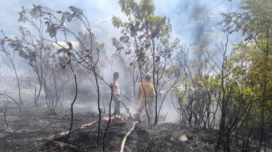 Zonguldak’ta Örtü Yangını Ekipler Tarafından Kontrol Altına Alındı