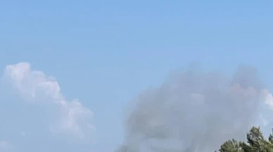 Bodrum Güvercinlik Mahallesi’nde Orman Yangını Hızla Yayılıyor