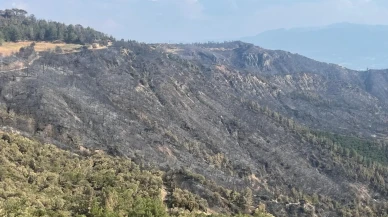 Buldan'da yangın bölgesinde ekipler gece gündüz nöbette