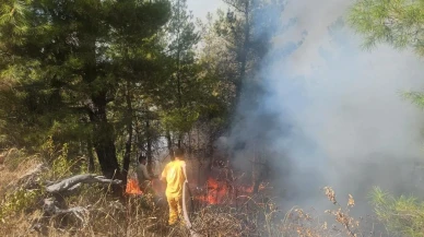 Buldan'daki orman yangınına havadan beş helikopterle müdahale başlatıldı