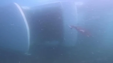 Zonguldak Ereğli'de batan yatın su altı görüntüleri ortaya çıktı