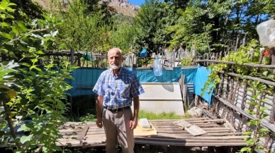 Erzincan kemaliye’de ayılar ev ve bahçelere zarar verdi