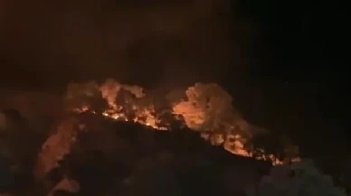 Buldan’da dağdan yuvarlanan alevli kütük yangını genişletti gönüllüler başarısız oldu