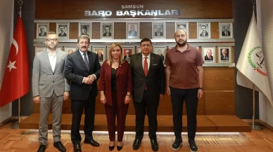 Almanya ve ILO Samsun Valisi Tavlı’yı ziyaret etti