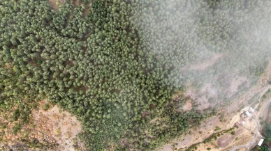 Kastamonu'nun İhsangazi ilçesinde sis Ilgaz Dağı'nda kartpostallık manzaralar oluşturdu