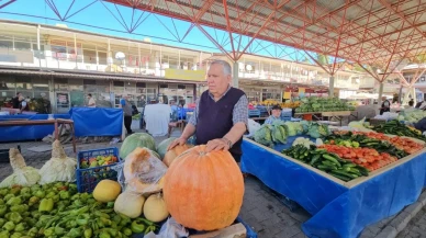 Malatya’nın Darende ilçesinde bal kabağı üretimi üreticiyi mutlu ediyor