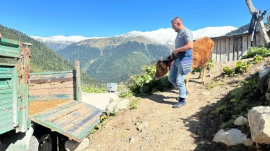 Rize’de yaylacılar erken kar yağışı nedeniyle kışlıklara indi