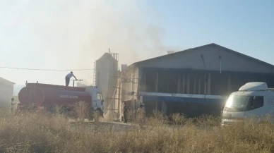 Afyonkarahisar Başmakçı’da Tavuk Çiftliğinde Yangın Çıktı