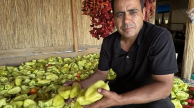 Mehmet Salih Sağınç Kale Biberini dünyaya tanıtmak için çalışıyor