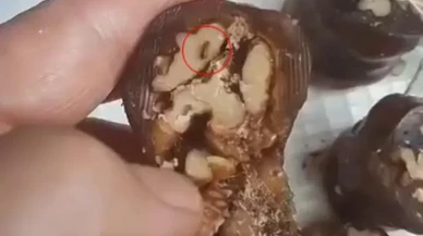 Elazığ'da orcik alan vatandaşın ürünün içinden böcek çıktı