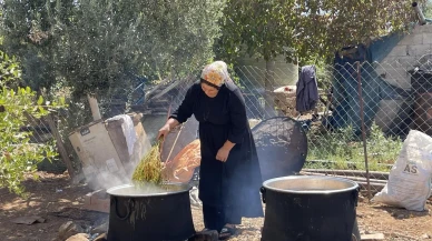 Şanlıurfa'da üzüm hasadıyla pekmez üretimi başladı