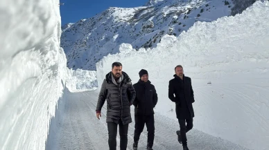 Van-Çatak yolu çığ düşmeleri nedeniyle 4 gündür ulaşıma kapalı