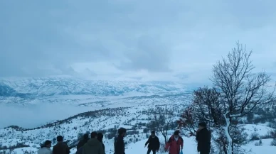 Arıcak’ta yoğun kar yağışı nedeniyle yaban hayvanları için yem bırakıldı
