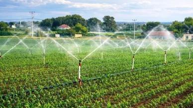 Samsun’da kırsal üretimi desteklemek için 33,6 milyon liralık hibe sağlandı