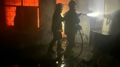 Hatay’da alevlerin içinde kalan kediyi itfaiye ekipleri kurtardı