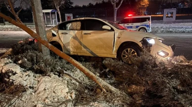 Kayseri'de alkollü sürücü önce ağacı devirdi ardından aydınlatma direğine çarptı