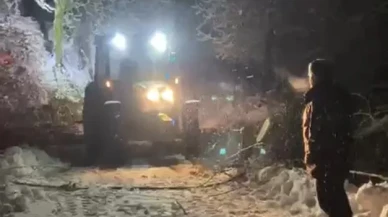 Sinop'ta yoğun kar yağışı nedeniyle devrilen ağaç ulaşımı kısa süreli aksattı