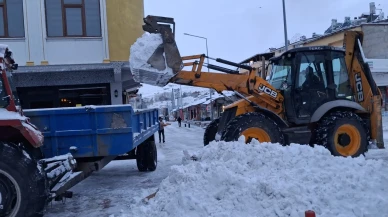 Erzincan'ın Tercan ilçesinde kar temizliği yapılırken Girlevik Şelalesi'nde buz sarkıtları oluştu