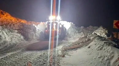 Gümüşhane’de Yağmurdere karayoluna çığ düşmesiyle ulaşım durdu