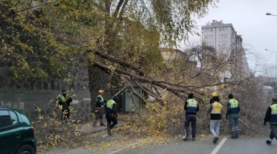 şiddetli rüzgar nedeniyle Samsun'da ağaç devrildi" (Not: Başlık 13 kelimeyi aşmadan, kurallara uygun